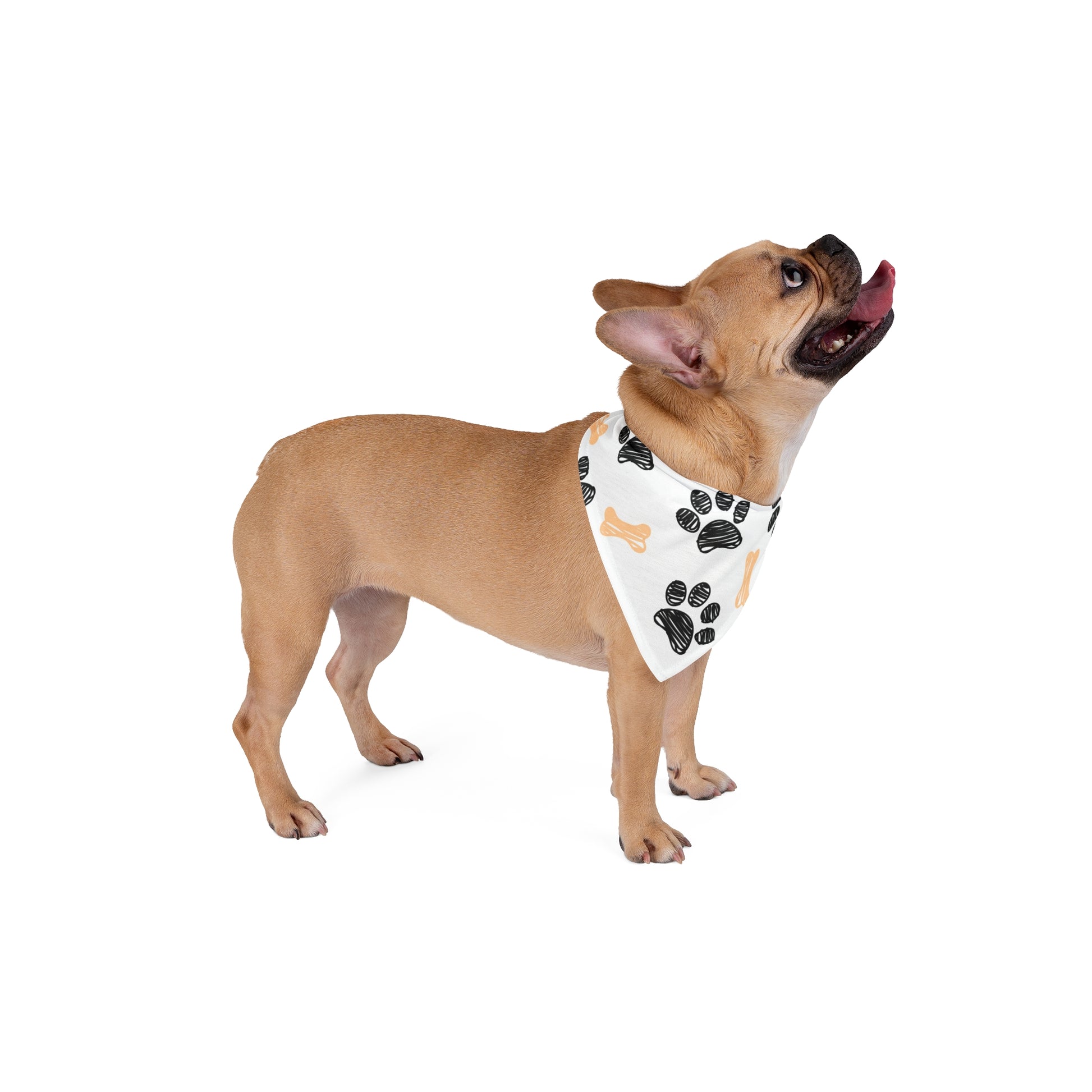 Stylish Pet Bandana with Paw Print Design